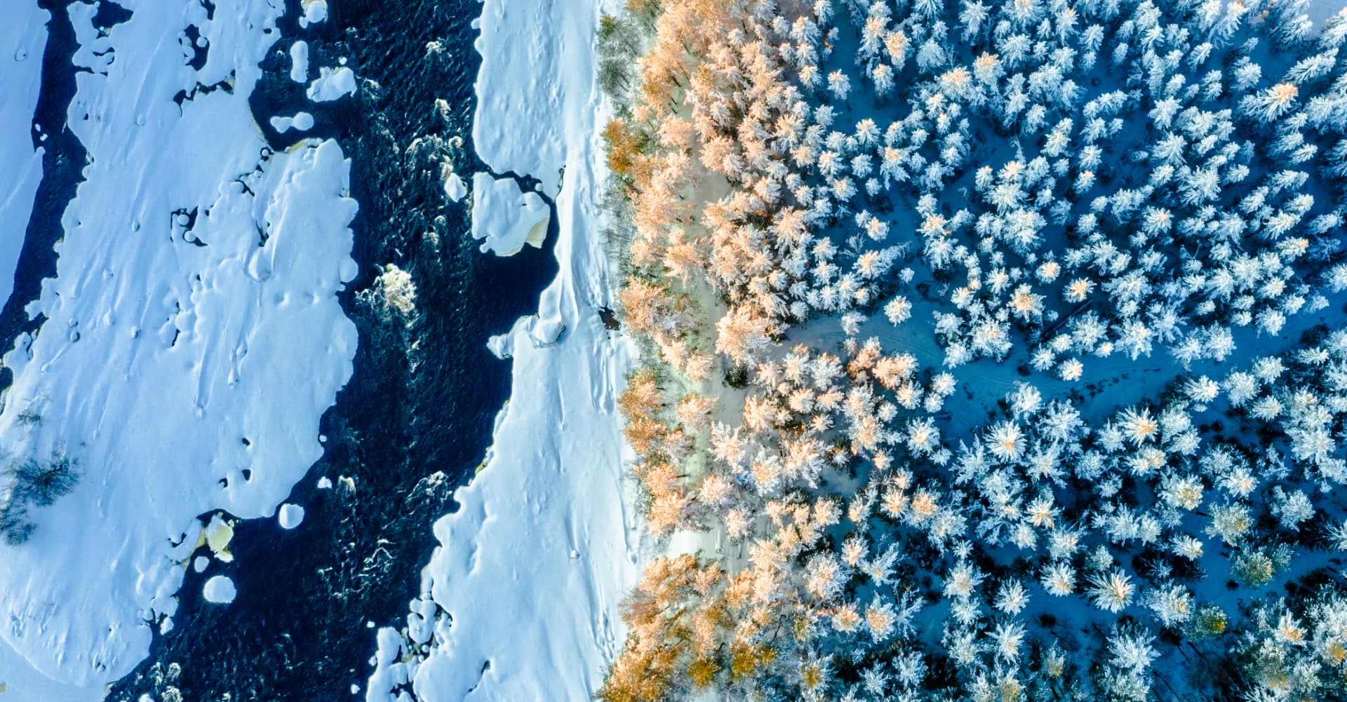 Aerial view of Råne river in winter, snow-covered banks and frost-laden trees catching the first rays of sun after the polar dark